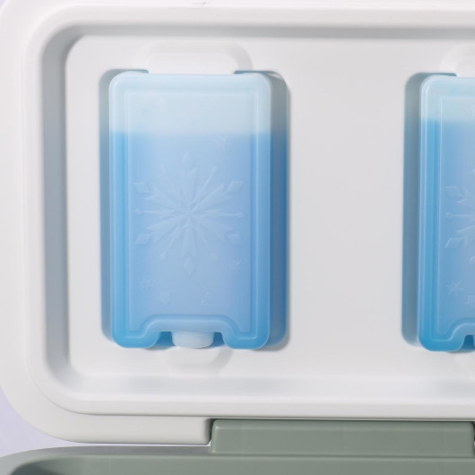 22L Cooler Boxes Reusable Ice Packs
